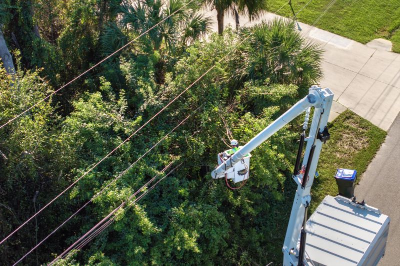 Trimming Near Power Lines