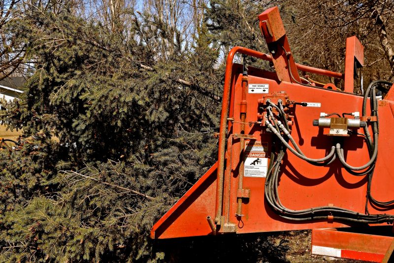 Professional Tree Trimming Equipment